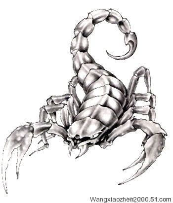 Free cool Scorpion tattoo