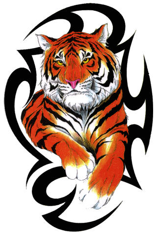 Tiger Tattoo Designs on Tribal Tiger Tattoos