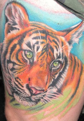 Tiger Tattoos tattoo art gallery