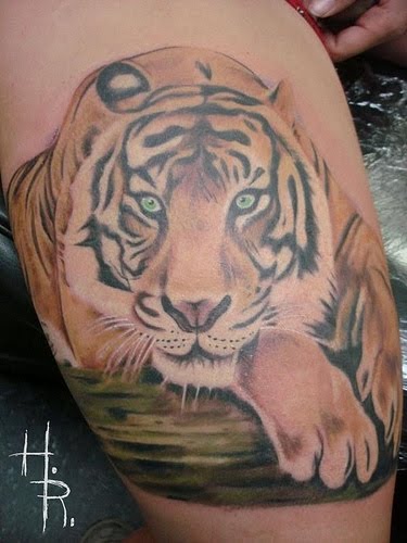 mens tiger tattoo on arm