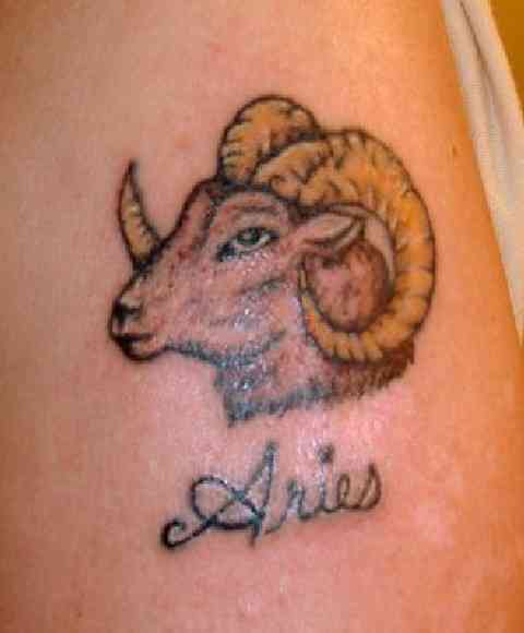 Animal Tattoos tattoo art gallery